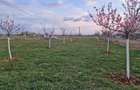Proprietar vand teren in Giroc