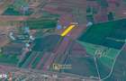 Teren agricol de vanzare Arad - 1