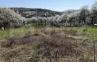 Teren intravilan in localitatea Criseni in suprafata de 2700 - 4