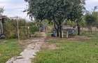 Casă cu 4 camere cu Teren 2000 Mp în Moșoaia - 7
