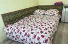 RENT//Vanzare Casa de vacanta - Delta Dunarii Baltenii de Jos DELTA DUNARII - 5