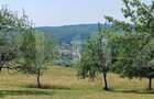 Teren extravilan de 1000 mp, situat pe strada Ghinzii