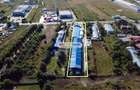 Vanzare 2 Hale 2515 mp + teren 6200 mp Magurele - 9