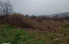 Teren intravilan Tomesti , 11000 metri Cod:161403 - 4