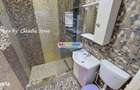 INCHIRIERE APARTAMENT 2 CAMERE GIURGIULUI - 8