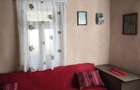 Casa de vanzare la tara - Sat Boian, Comuna Ceanu Mare cu teren 40 ari - 17