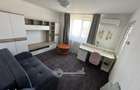 Apartament 2 camere decomandat Hala Centrala Palas Mall - 9