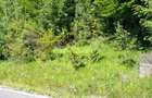 Teren de vanzare aproape de Sinaia 1420mp - 10