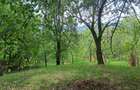Teren intravilan de vanzare 5991.mp loc ?otrile - 7