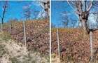 Teren cota parte 1/2, Sat Vistieru, ID: R2809860 - 7