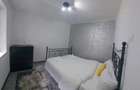 Apartament Baile Herculane - 2