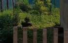 Casa 2 camere in Zam - ID : RH-38533-property - 3