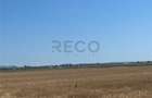 RECO Teren extravilan Ucuris- Olcea 44 000 mp - 6