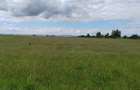 Teren extravilan, 114000 mp, Parc industrial West Park - 9