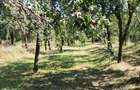 Teren de 2000 mp, în Sibiciu de Sus - 1