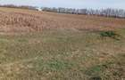 Vand teren odoreu martinest satu mare - 4
