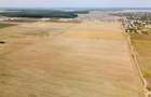 DASCALU - TEREN INTRAVILAN 7500 MP, INVESTITIE! - 8