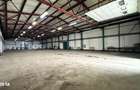 Hala 850mp zona industriala Vest - 1