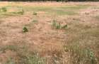 Vand doua case in satul Baltateni - 8