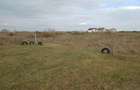Proprietar, vand teren cur?i construc?ii, Mo?ni?a Noua, 1000 mp - 6