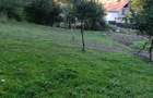 Vand teren intravilan - 3