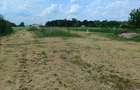 6 parcele intravilane de 485 mp in Mihai Voda, Bolintin Deal, 650 metri de Primaria Bolintin-Deal - 3