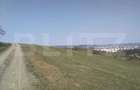 Teren intravilan, 15.904 mp, zona Dambu - 3