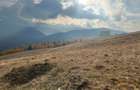 Teren de vanzare ideal pentru cabana Zona Valari, Paltini?(6131 m) - 3