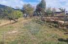 Teren de vanzare | Magura, Brasov | Oportunitate de Investitie - 1