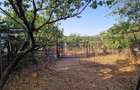 Particular: 1000mp teren deschidere lac Tasaul cu casa veche - 13