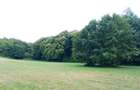 Vand teren pe Valea de Uileac zona lini?tita - 5
