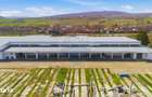Teren Industrial / Hale de Vanzare 4.1 Ha - Zona industriala - Harlau
