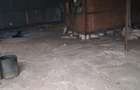 Ferma 3700 mp C.A.P. POIANA