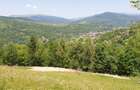 Teren panoramic Valea Doftanei view superb catre munte - 2