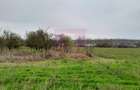 De vanzare casa +teren 16k mp in BARCANESTI / IL - 13