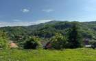 Teren intravilan 412 mp. plus garaj, sat Ocolis, jud Alba