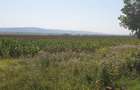 Teren intravilan 9500 mp, DN 2 BLACK SEA, Bacau - 1