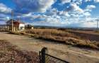 Vand teren intravilan in Cuzdrioara,750 mp - 5