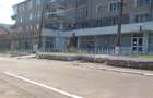 Spatii comerciale Nucet Vartop Arieseni - 6