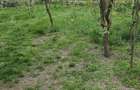 Intravilan la DJ Glambocelu-Bogati, accept si schimburi - 8