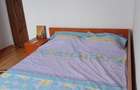 Apartament 3 camere, confort 1, decomandat, mobilat, zona sud - 10