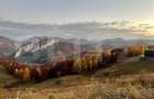 Teren 5200 mp cu view spectaculos Ponor | ideal turistic | langa Belve - 7