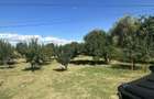 Teren Razvad/Targoviste 1300mp