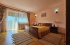 Locatie premium cu 2 constructii || Acces direct din DN71 – Dealu Mare, Dambovit - 5