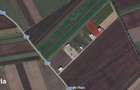 Teren industrial intravilan 5000mp Sfantu Gheorghe/ Ozun