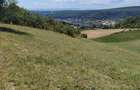 Teren agricol extravilan de 7300 mp, în Baciu