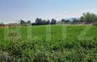 Teren intravilan de vanzare, 3800 mp, zona Vest - 4