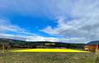 Proprietar: Teren plan 900mp, geometrie patrata, front 30m la drum de 9m || Odobesti - CREIC (Extravilan) - 5