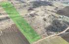 Teren extravilan 4500mp cu autorizatie adapost agricol in Gusterita - 2