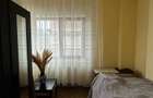 2 CAMERE DINICU GOLESCU | STIRBEI VODA - 7